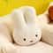 Miffy Black Eyes Character Plush Cushion 3
