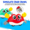 Kinetic Simulation Crawling Crab Toy 2