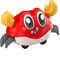 Kinetic Simulation Crawling Crab Toy 8
