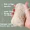 10 Piece Natural Fibrous Dermal Exfoliation Shield 1