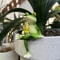 Creative Frog Resin Garden Planter 6