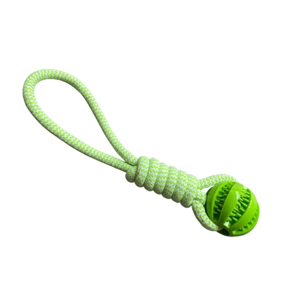 Interactive Rubber Dog Treat Ball With Rope 6