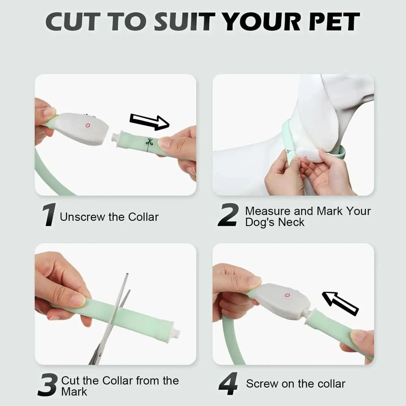 Ultra Bright USB Rechargeable Glowing Pet Safety Collar 4