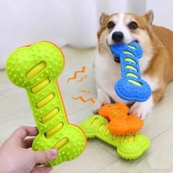 heavy duty squeaky rubber bone chew toy