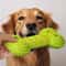 Heavy Duty Squeaky Rubber Bone Chew Toy 8