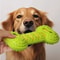 Heavy Duty Squeaky Rubber Bone Chew Toy 8