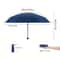 Ultra Light Compact Capsule Travel Umbrella 2