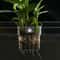 High Clarity Aquatic Plant Suspension Basket 0