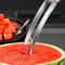 Precision Stainless Steel Watermelon Cube Slicer And Fork Set 4