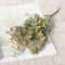 Sophisticated Artificial Green Eucalyptus Decorative Stem 14