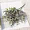 Sophisticated Artificial Green Eucalyptus Decorative Stem 2