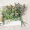 Sophisticated Artificial Green Eucalyptus Decorative Stem 4