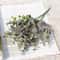 Sophisticated Artificial Green Eucalyptus Decorative Stem 6