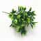 Realistic Artificial Evergreen Fern Botanical Grass Stem 0