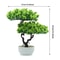 Traditional Japanese Pine Artificial Bonsai Tree 6
