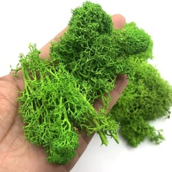 premium eternal life preserved artificial moss grass