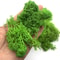 Premium Eternal Life Preserved Artificial Moss Grass 0