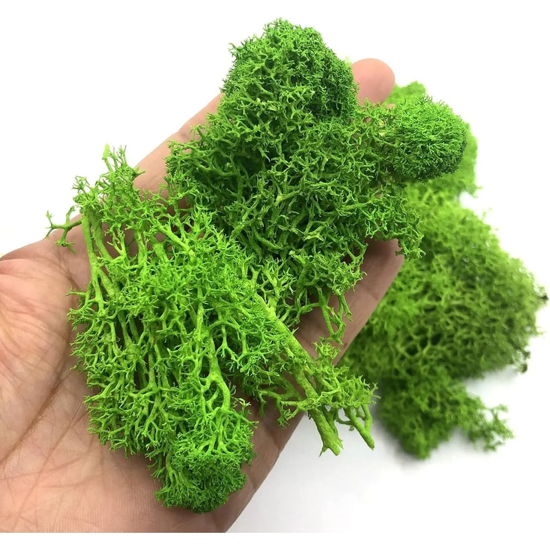 Premium Eternal Life Preserved Artificial Moss Grass 0