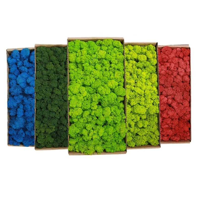 Premium Eternal Life Preserved Artificial Moss Grass 1