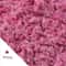 Premium Eternal Life Preserved Artificial Moss Grass 10