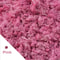 Premium Eternal Life Preserved Artificial Moss Grass 10