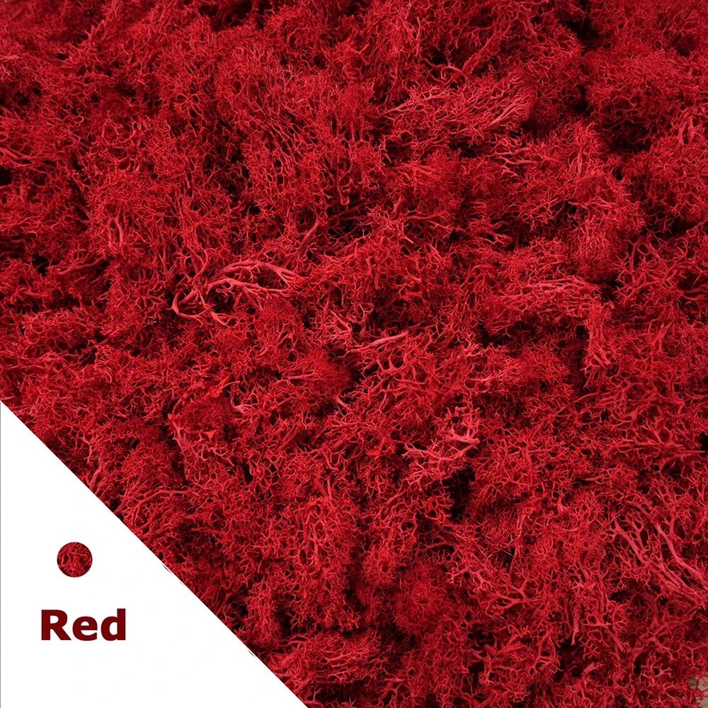 Premium Eternal Life Preserved Artificial Moss Grass 11