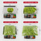Premium Eternal Life Preserved Artificial Moss Grass 3