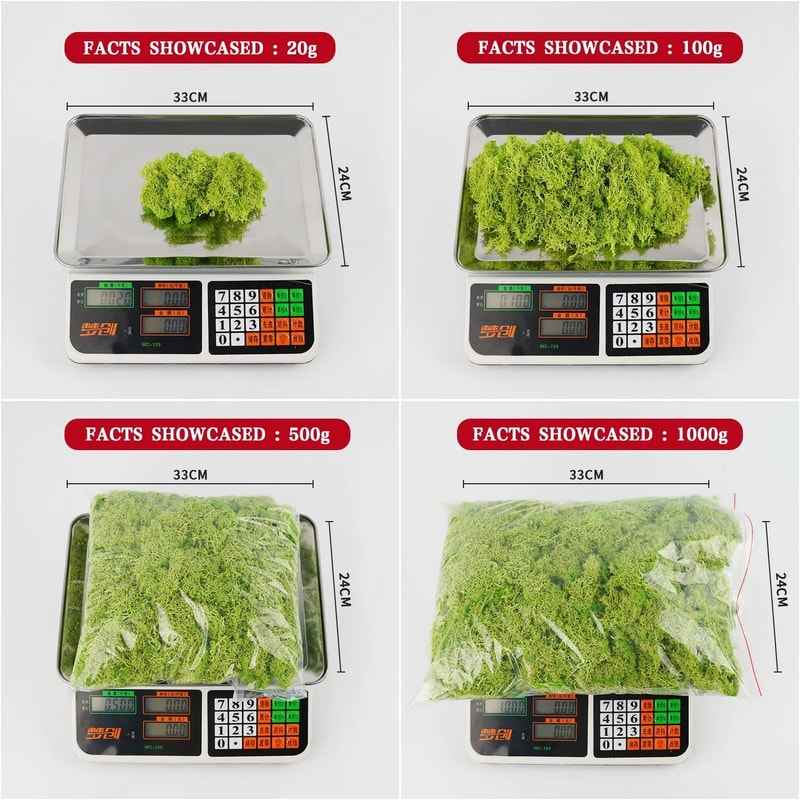 Premium Eternal Life Preserved Artificial Moss Grass 3