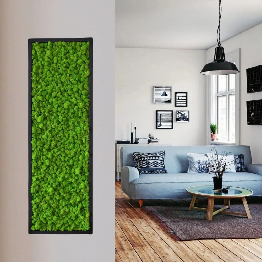 Premium Eternal Life Preserved Artificial Moss Grass 5