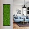 Premium Eternal Life Preserved Artificial Moss Grass 5