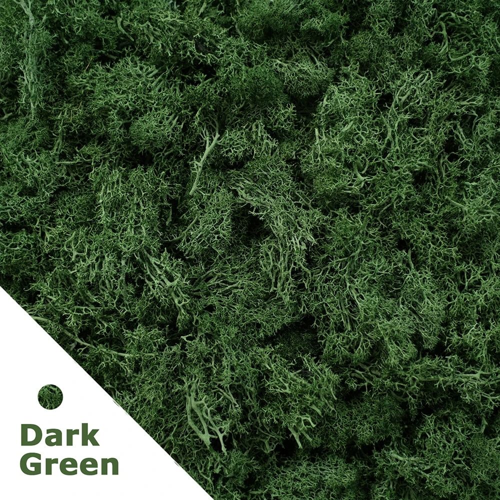 Premium Eternal Life Preserved Artificial Moss Grass 6