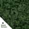 Premium Eternal Life Preserved Artificial Moss Grass 6