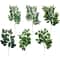 Silver Dollar Artificial Eucalyptus Greenery Stem 0