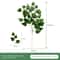 Silver Dollar Artificial Eucalyptus Greenery Stem 11