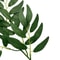 Silver Dollar Artificial Eucalyptus Greenery Stem 3