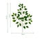 Silver Dollar Artificial Eucalyptus Greenery Stem 6