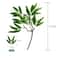 Silver Dollar Artificial Eucalyptus Greenery Stem 16