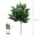 Silver Dollar Artificial Eucalyptus Greenery Stem 17