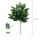 Silver Dollar Artificial Eucalyptus Greenery Stem 17
