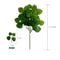 Silver Dollar Artificial Eucalyptus Greenery Stem 18