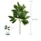 Silver Dollar Artificial Eucalyptus Greenery Stem 19