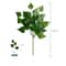 Silver Dollar Artificial Eucalyptus Greenery Stem 20