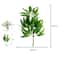Silver Dollar Artificial Eucalyptus Greenery Stem 29