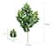 Silver Dollar Artificial Eucalyptus Greenery Stem 21