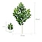 Silver Dollar Artificial Eucalyptus Greenery Stem 21