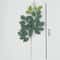 Silver Dollar Artificial Eucalyptus Greenery Stem 25