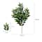 Silver Dollar Artificial Eucalyptus Greenery Stem 26