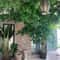 High Density Artificial Italian Ruscus Greenery Stems 5