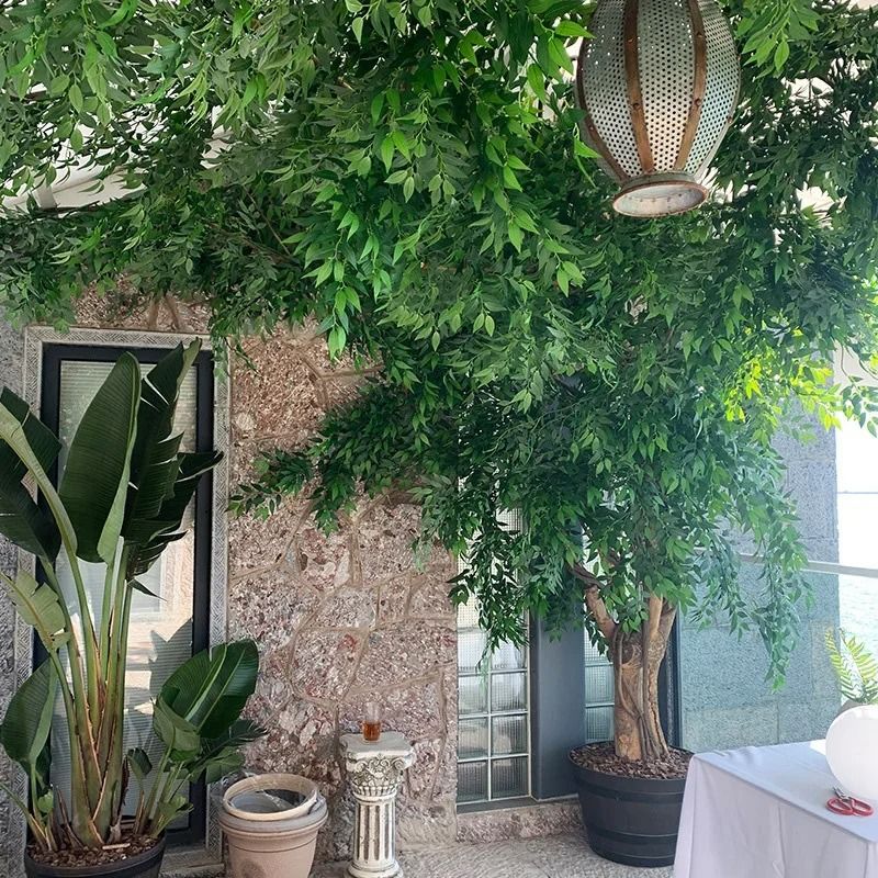 High Density Artificial Italian Ruscus Greenery Stems 5