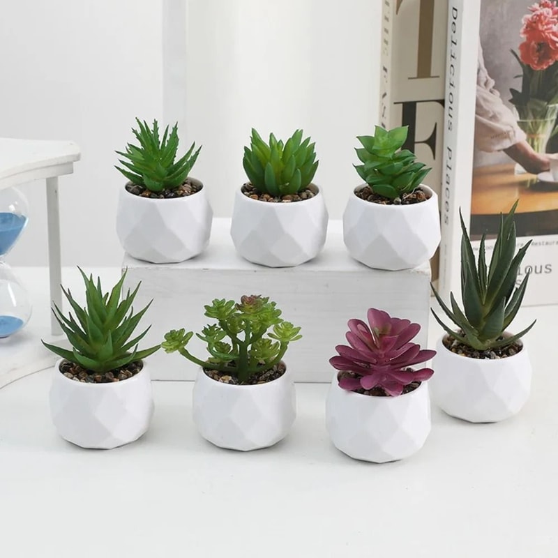 Evergreen Architectural Simulation Succulent Bonsai 1